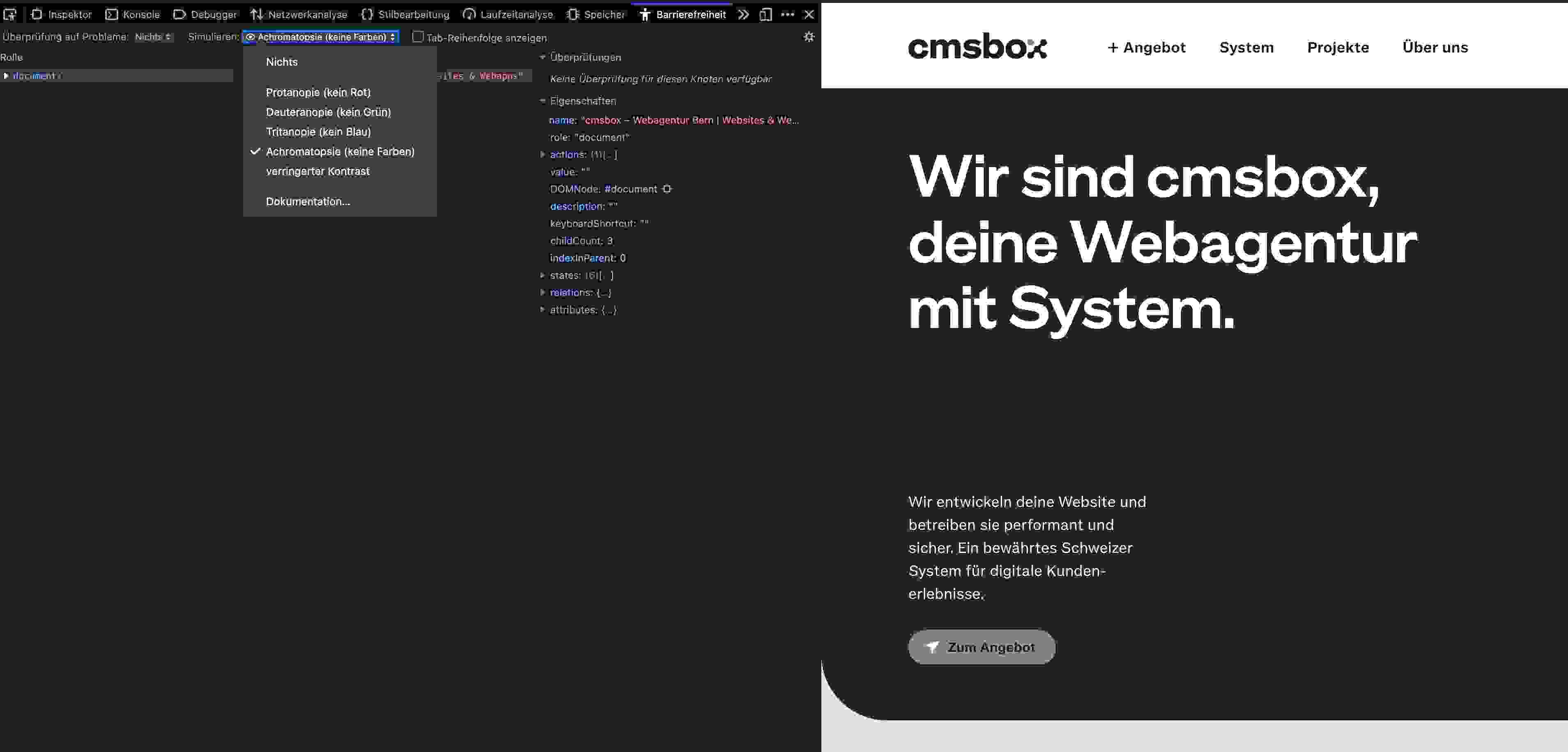 barrierefreiheit-website-check Prüfung der Farben und Kontraste im Browser Firefox.